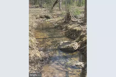 Dillions Run Road, Capon Bridge, WV 26711 - Photo 11