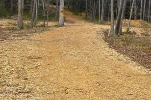 Dillions Run Rd, Capon Bridge, WV 26711 - Photo 1