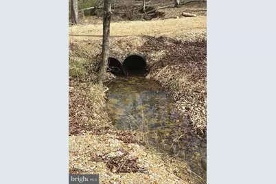 Dillions Run Road, Capon Bridge, WV 26711 - Photo 7