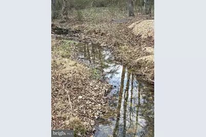 Dillions Run Road, Capon Bridge, WV 26711 - Photo 3