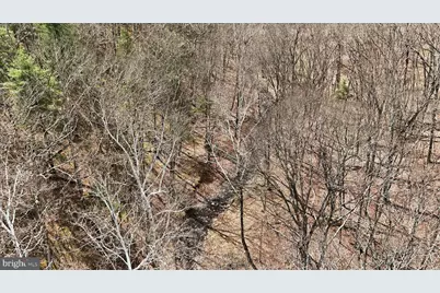 Lot 62 Phase 2 Crest Haven Road, Romney, WV 26757 - Photo 13