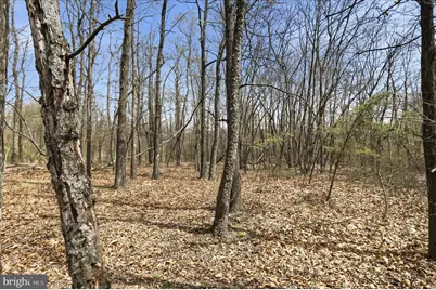 Lot 62 Phase 2 Crest Haven Road, Romney, WV 26757 - Photo 3