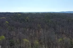 293 Elliot Ln, High View, WV 26808 - Photo 5