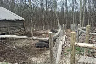 293 Elliot Ln, High View, WV 26808 - Photo 35