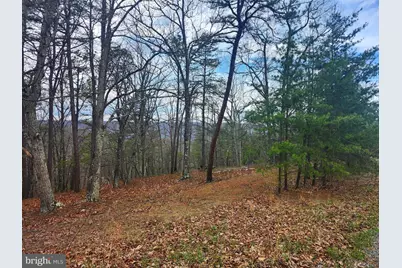 4.73 Ac Brown Cardinal Ridge, Romney, WV 26757 - Photo 15