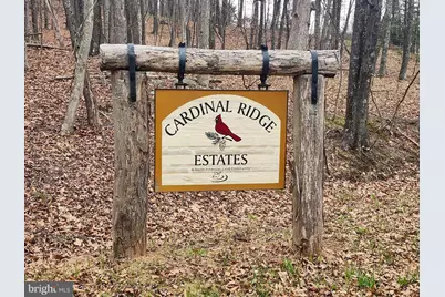 4.73 Ac Brown Cardinal Ridge, Romney, WV 26757 - Photo 13