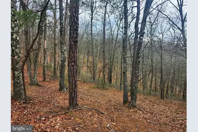 4.73 Ac Brown Cardinal Ridge, Romney, WV 26757 - Photo 5