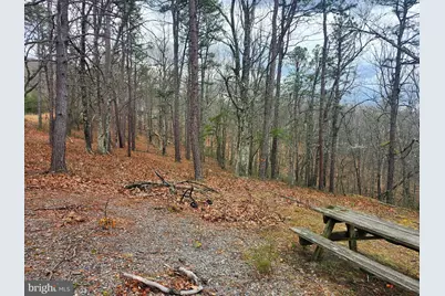 4.73 Ac Brown Cardinal Ridge, Romney, WV 26757 - Photo 3