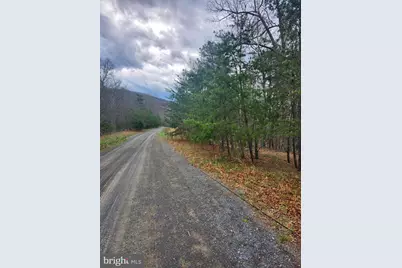 4.73 Ac Brown Cardinal Ridge, Romney, WV 26757 - Photo 9