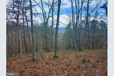 4.73 Ac Brown Cardinal Ridge, Romney, WV 26757 - Photo 5