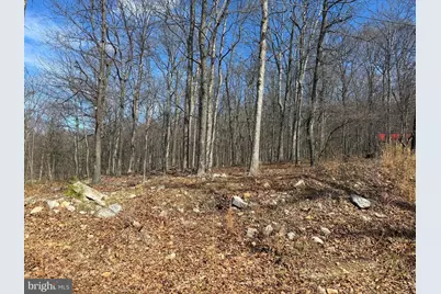 Lot 65 High Mountain View Road, Romney, WV 26757 - Photo 1