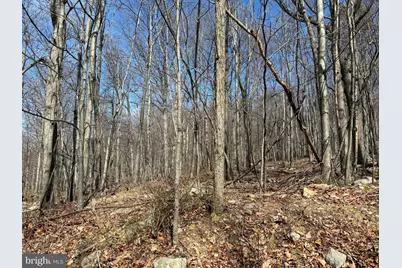 Lot 63 High Mountain View Road, Romney, WV 26757 - Photo 1