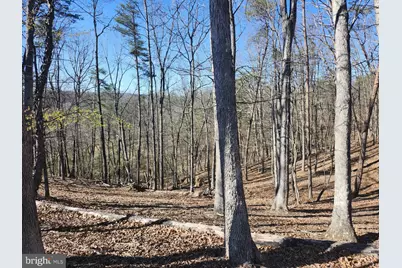 A.J. Kelley Rd, Purgitsville, WV 26852 - Photo 55