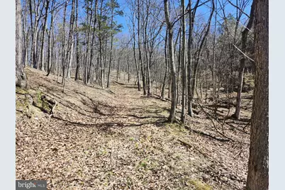 A.J. Kelley Rd, Purgitsville, WV 26852 - Photo 35