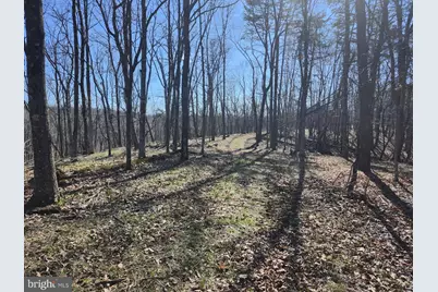 A.J. Kelley Rd, Purgitsville, WV 26852 - Photo 61