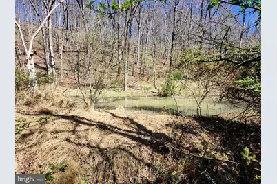 A.J. Kelley Rd, Purgitsville, WV 26852 - Photo 15