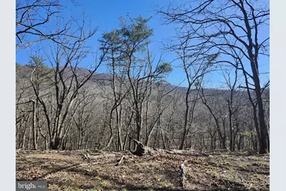 A.J. Kelley Rd, Purgitsville, WV 26852 - Photo 51