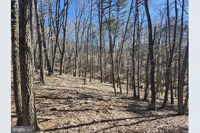 A.J. Kelley Rd, Purgitsville, WV 26852 - Photo 59