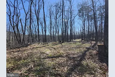 A.J. Kelley Rd, Purgitsville, WV 26852 - Photo 49