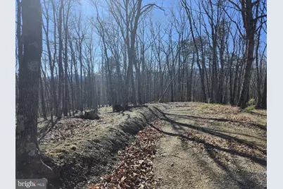 A.J. Kelley Rd, Purgitsville, WV 26852 - Photo 57
