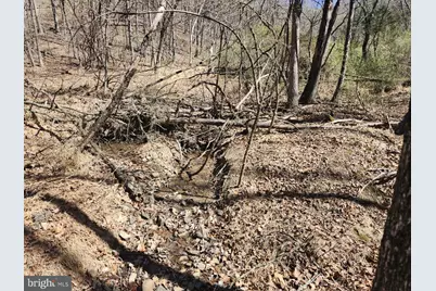 A.J. Kelley Rd, Purgitsville, WV 26852 - Photo 39