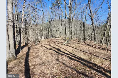 A.J. Kelley Rd, Purgitsville, WV 26852 - Photo 47