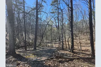 A.J. Kelley Rd, Purgitsville, WV 26852 - Photo 63