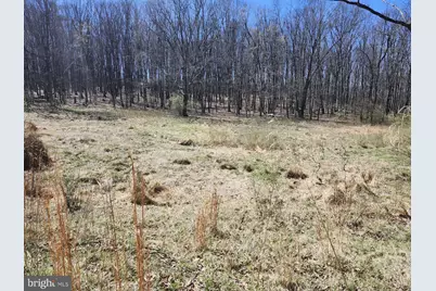 A.J. Kelley Rd, Purgitsville, WV 26852 - Photo 23