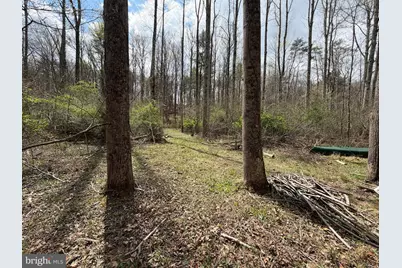 Lot # 45 Cacapon Hills, Paw Paw, WV 25434 - Photo 23