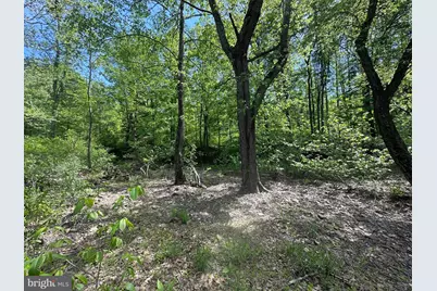 Lot # 45 Cacapon Hills, Paw Paw, WV 25434 - Photo 43