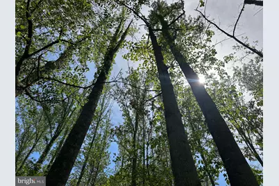 Lot # 45 Cacapon Hills, Paw Paw, WV 25434 - Photo 39