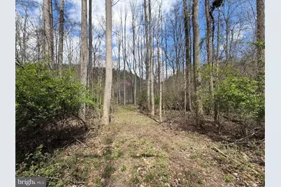 Lot # 45 Cacapon Hills, Paw Paw, WV 25434 - Photo 9