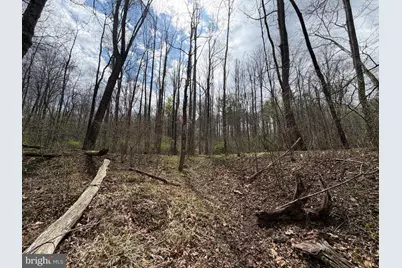 Lot # 45 Cacapon Hills, Paw Paw, WV 25434 - Photo 25