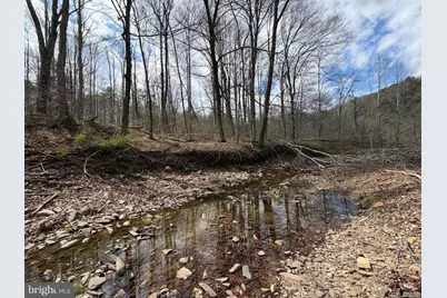 Lot # 45 Cacapon Hills, Paw Paw, WV 25434 - Photo 33