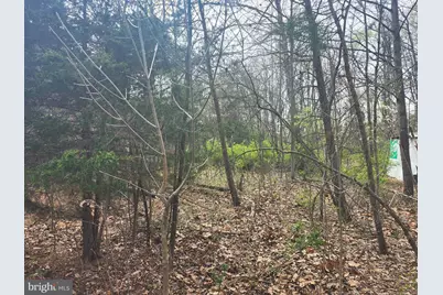 Lot 25 Shumac Trail, Augusta, WV 26704 - Photo 1