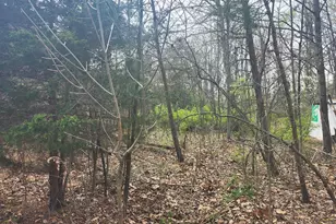 Lot 25 Shumac Trail, Augusta, WV 26704 - Photo 1