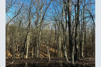 Crossings View Rd Road, Paw Paw, WV 25434 - Photo 7