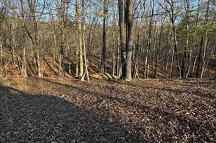 Crossings View Rd Rd, Paw Paw, WV 25434 - Photo 1