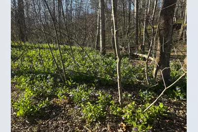 Crossings View Rd Road, Paw Paw, WV 25434 - Photo 15