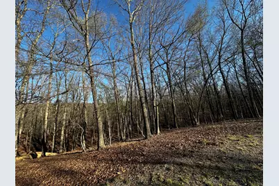 Crossings View Rd Road, Paw Paw, WV 25434 - Photo 9