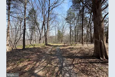 217 Trapper Lane, Augusta, WV 26704 - Photo 69