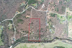 217 Trapper Ln, Augusta, WV 26704 - Photo 1