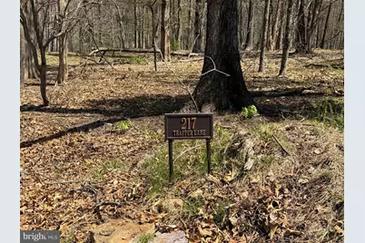 217 Trapper Lane, Augusta, WV 26704 - Photo 65