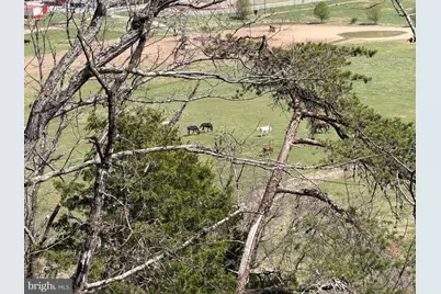 217 Trapper Lane, Augusta, WV 26704 - Photo 5