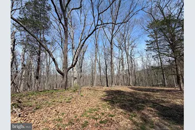 217 Trapper Lane, Augusta, WV 26704 - Photo 71