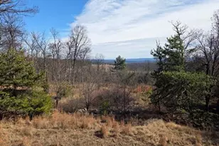 942 Wild Boar Rd, Augusta, WV 26704 - Photo 3