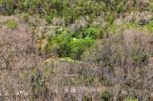 783 Ritters Valley Dr, Capon Bridge, WV 26711 - Photo 65