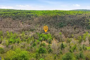 783 Ritters Valley Dr, Capon Bridge, WV 26711 - Photo 61