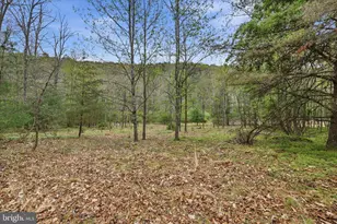783 Ritters Valley Dr, Capon Bridge, WV 26711 - Photo 55