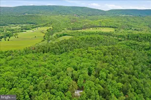 40 4 Ac Dave Moreland Rd, Slanesville, WV 25444 - Photo 37